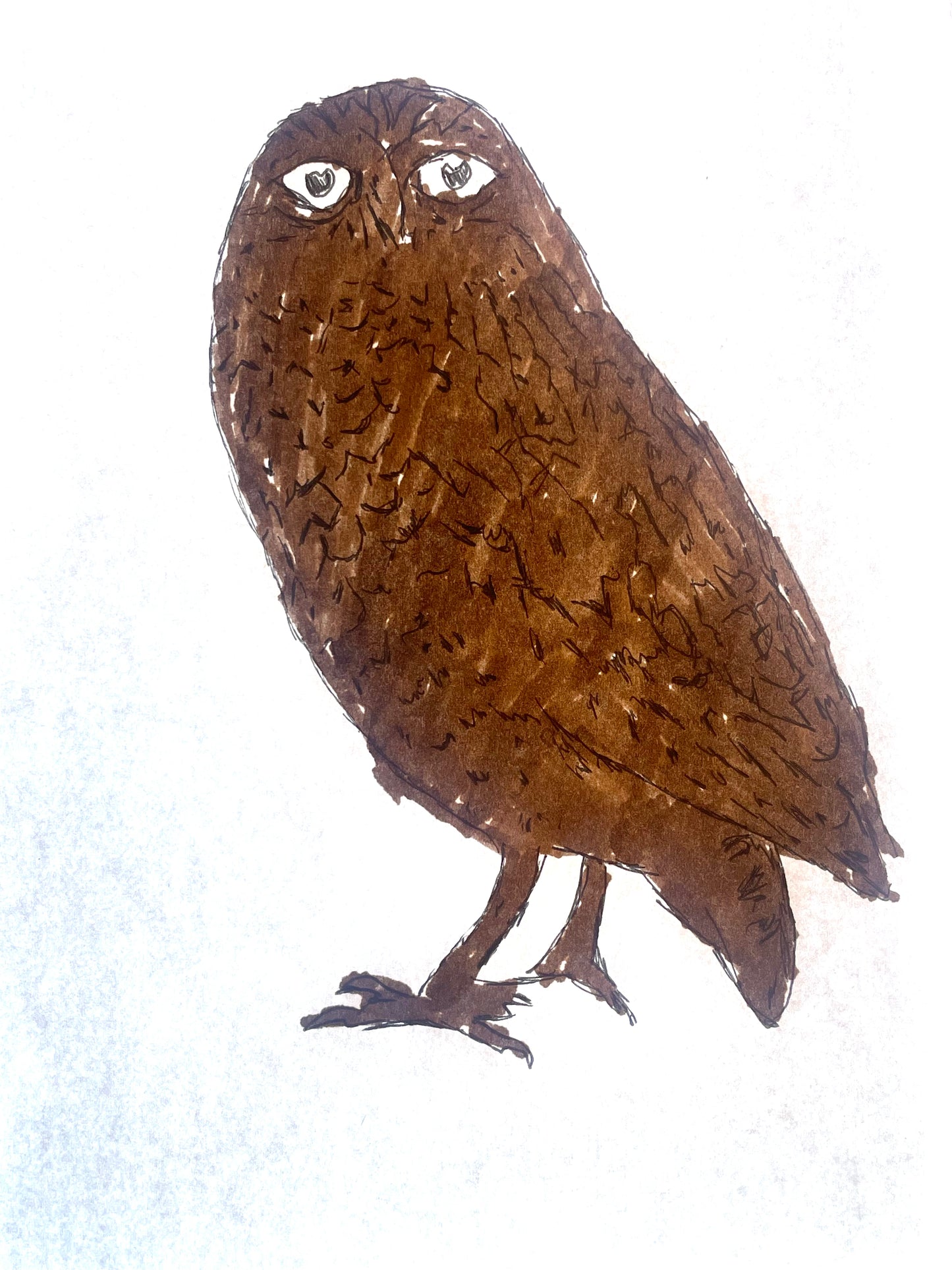 Hand drawn art style wild owl graphic tees unisex
